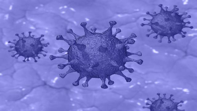 Aún no se han descrito todas las secuelas del coronavirus
