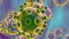 El coronavirus puede provocar lesiones neurologicas en los infectados