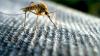 Bill Gates advierte del peligro de la malaria: ‘los mosquitos no llevan mascarillas’ 
