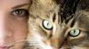 Curieux, observateur, les raisons pour lesquelles votre chat vous fixe du regard