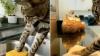 La vidéo d'un chat qui nettoie la maison de fond en comble fait le buzz