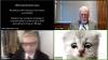 'Je ne suis pas un chat' : un avocat peine à retirer un filtre de chaton en pleine visio