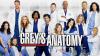 Grey's Anatomy, dieci curiosità sul medical drama: Bokhee è una vera infermiera