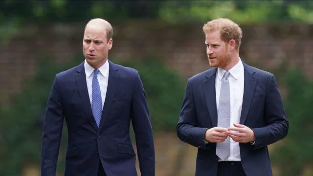 Crise na realeza: Príncipes Harry e William não conseguem se entender