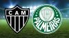 Atlético-MG recebe Palmeiras em busca da recuperação no Brasileirão 