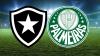 Botafogo recebe o líder Palmeiras no Nilton Santos
