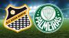 Palmeiras joga neste domingo em Diadema contra o Água Santa