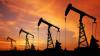 Governo USA approva progetto Willow per estrazione petrolio ma gli attivisti insorgono