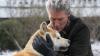 'Sempre a Seu Lado': filme emocionante sobre amor e lealdade de um cão akita
