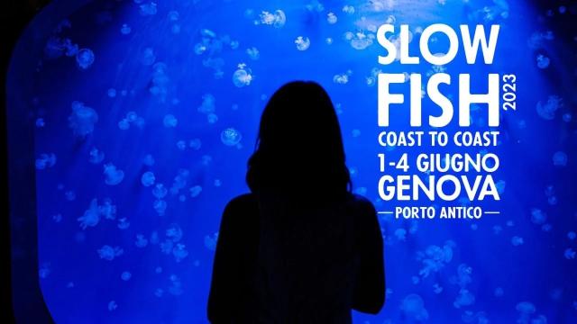  Slow Fish: a Genova una manifestazione che celebra il mare