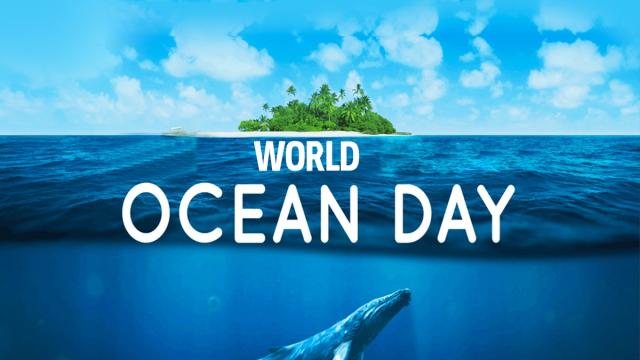 Giornata Mondiale degli Oceani: l'importanza della salvaguardia delle acque 