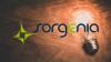 Sorgenia: nuove opportunità di impiego per Specialista Contabilità