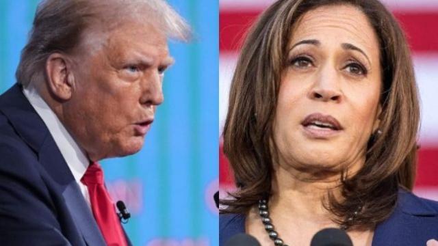 Elezioni Usa, sondaggio Reuters: Harris avanti di sette punti su Trump