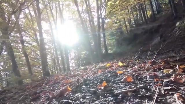 Calabria in autunno, dal foliage alla scoperta dei borghi tradizionali