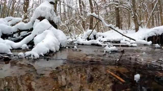 Calabria d'inverno, il Parco Nazionale del Pollino e la Sila