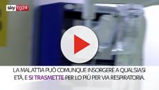 VIDEO. Che cos'è la difterite